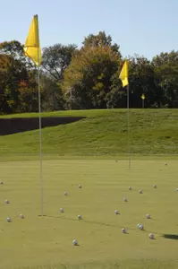 Men's Golf Travels South For Ironwood Pirate Intercollegiate Image