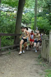 Men's Cross Country has Strong Showing at Indiana Open Image