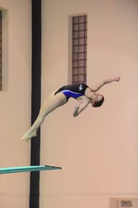 Swimming and Diving Drops Meet to Illinois Image