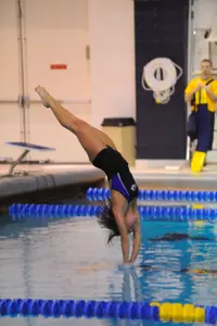 Angeloff and Hoover Represent Akron at Diving Zones Image