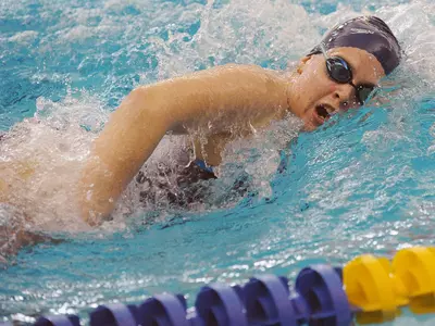 Swimming and Diving Flies Past Duquesne Image