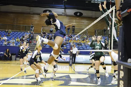 Ohio Sweeps Zips in Friday Night Division Battle Image