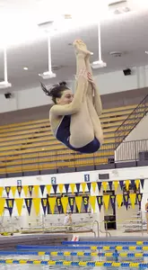 Divers Complete Action at NCAA Zone Diving Championships Image