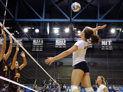 Zips Fall on the Road at Cleveland State, 3-1 Image