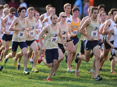 Cross Country To Compete At All-Ohio Championships Saturday Image