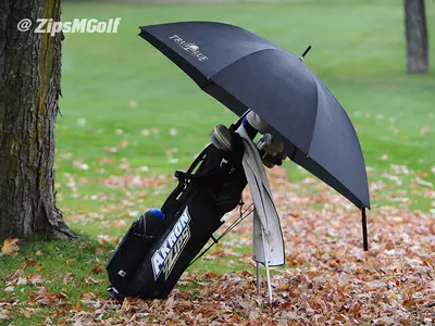 Rain Cancels Final Round of Sagamore Fall Preview Image