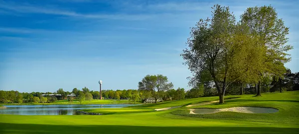 The Firestone Invitational Image