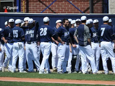 2015 Baseball Season Preview Image