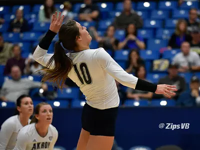 Volleyball Falls In Three Sets to Bradley Image