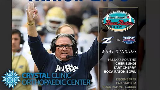 2017 Digital Bowl Guide