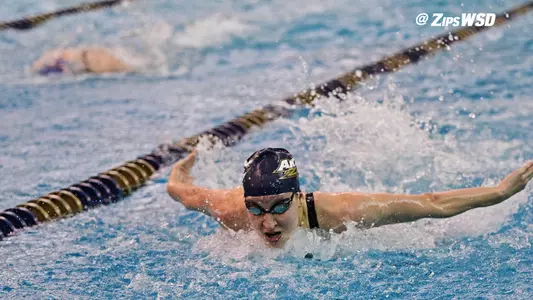 Nogaj Zippy Invite