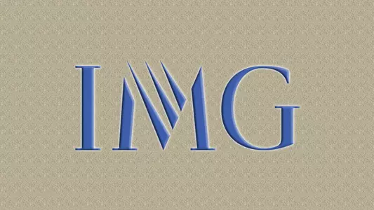 IMG logo 2017