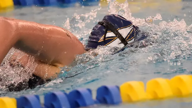 Swimming and Diving Announces Fall Swim Clinic Schedule