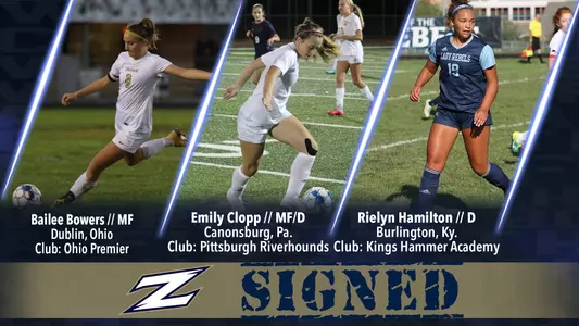 WSOC NLI