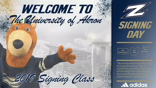 WSOC NLI