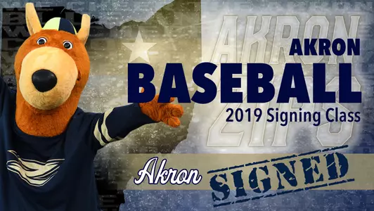 2019 Baseball NLI