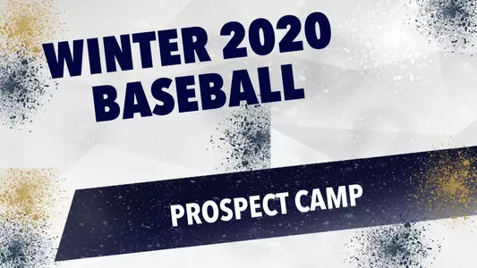 2020 Baseball Camp