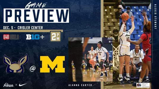 Michigan Preview