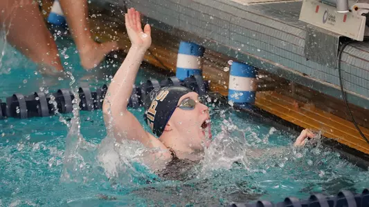 Andrea Fischer Celebration