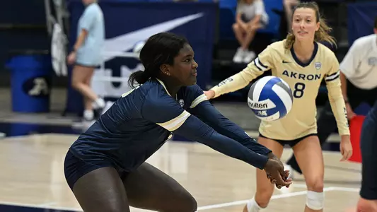 Johnson Dig 2022 Zips VB