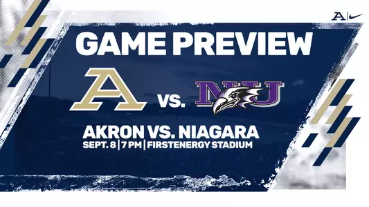 Niagara Preview
