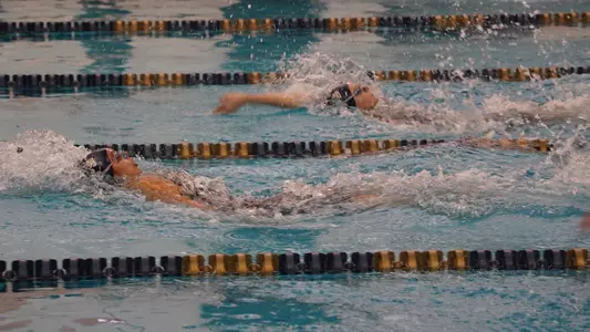 Gatrall and Gorecka 2023