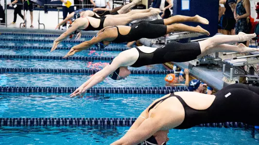 Swimming & Diving 2023 Zips Classic