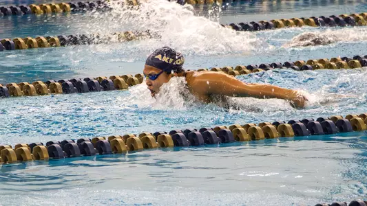 11-22-25 WSD Magnus Cup Day 3 Recap