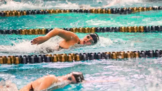 11-7-25 WSD vs Pitt+Miami Preview