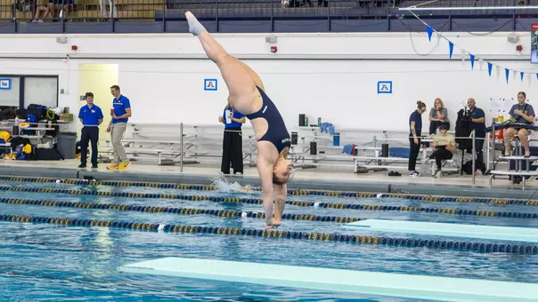 12-3-25 WSD Zippy Invite Preview