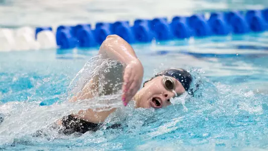 WSD NIC 3-13-25 Recap