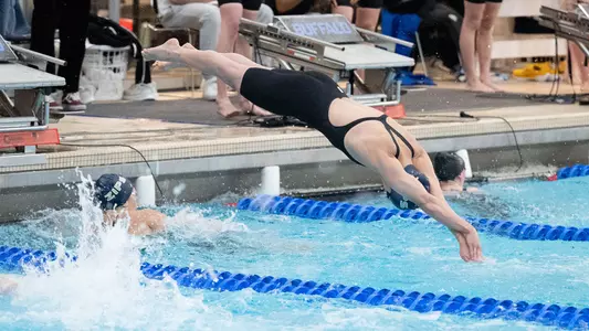 WSD 3-15-25 NIC RECAP