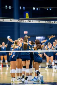 WVB Team