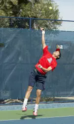 Cats Fall in Final Regular Season Match