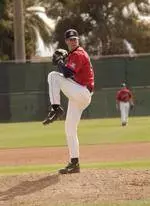 Arizona Baseball Notes - Vs. New Mexico