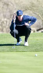Cats In Ninth in Tempe