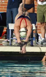 Wildcats Set To Sink Devils