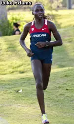 Four Wildcats Earn All-America Honors