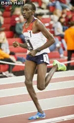Three Track Cats To Compete In Millrose Games