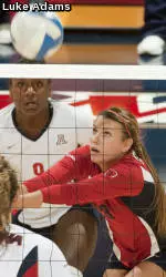 Cats Swept by No. 4 Stanford On the Road