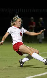 Cats Tie Lions