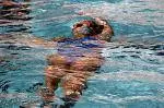 Arizona Women's Swimming and Diving Rises to Fifth After Day Two of Pac-10's