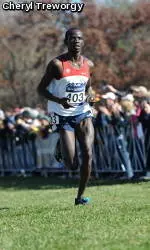 XC Women Take Sixth, Sambu and Lalang Finish 2-3