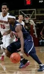 Cats Fall at Stanford