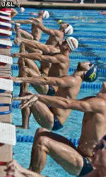 Wildcats Topped by Golden Bears in Dual Meet Action