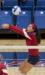 Volleyball Sweeps Cal State Fullerton
