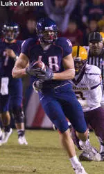 It's Bowl Week for the Cats