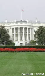 Cats Off to the White House