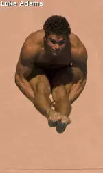 Arizona Hosts 2nd Annual Wildcat Diving Invitational