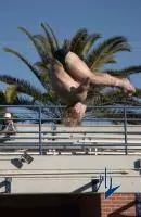 Wildcats Host Tri-Meet Against Northwestern and Washington
